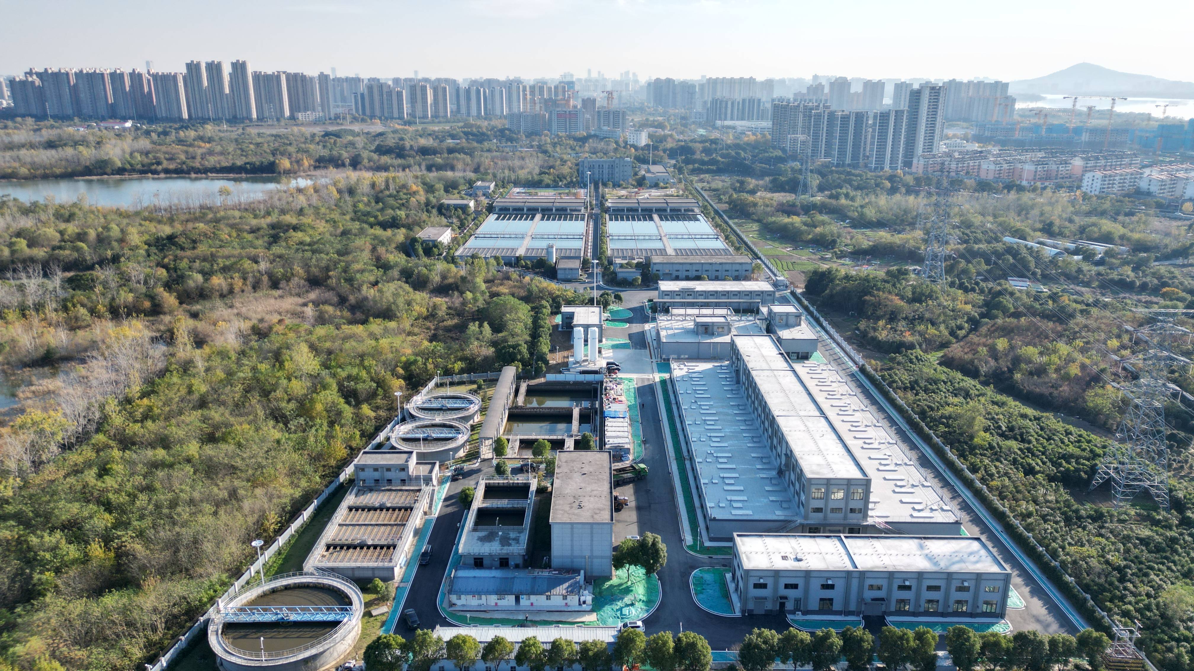 玛沁县合肥专业企业价值增长(合肥市重点企业产业目录)