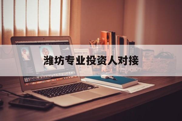 玛沁县潍坊专业投资人对接(潍坊专业投资人对接中心)