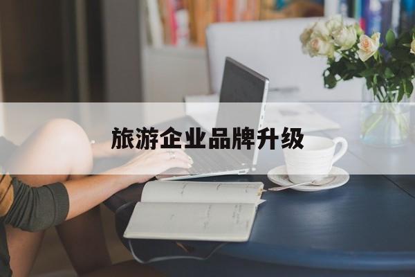 玛沁县旅游企业品牌升级(旅游企业品牌升级措施)