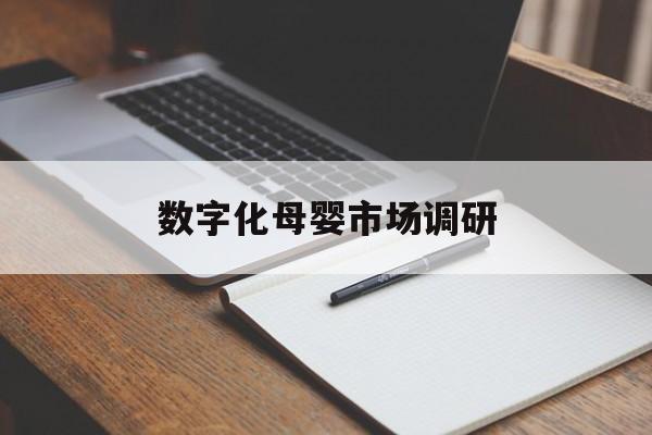 玛沁县数字化母婴市场调研(数字化母婴市场调研报告)